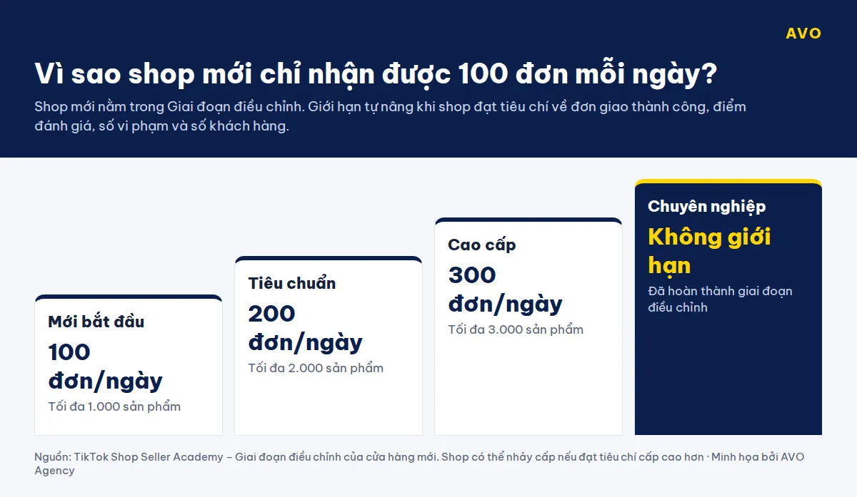 Biểu đồ bậc thang 4 cấp giai đoạn điều chỉnh shop mới TikTok Shop: Mới bắt đầu 100 đơn mỗi ngày, Tiêu chuẩn 200, Cao cấp 300, Chuyên nghiệp không giới hạn